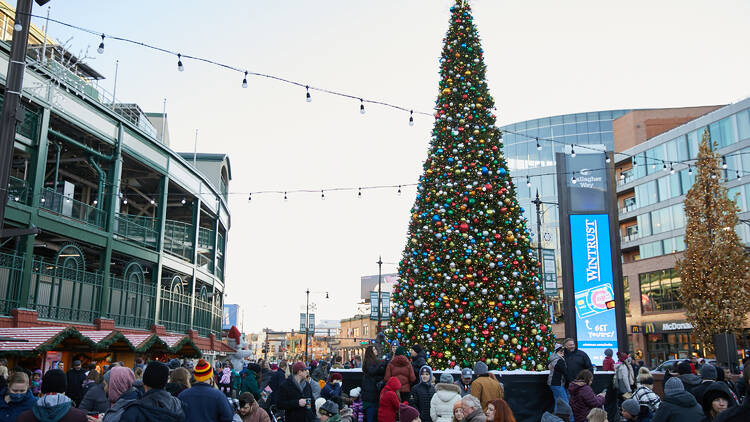Skate inside Wrigley Field this holiday season